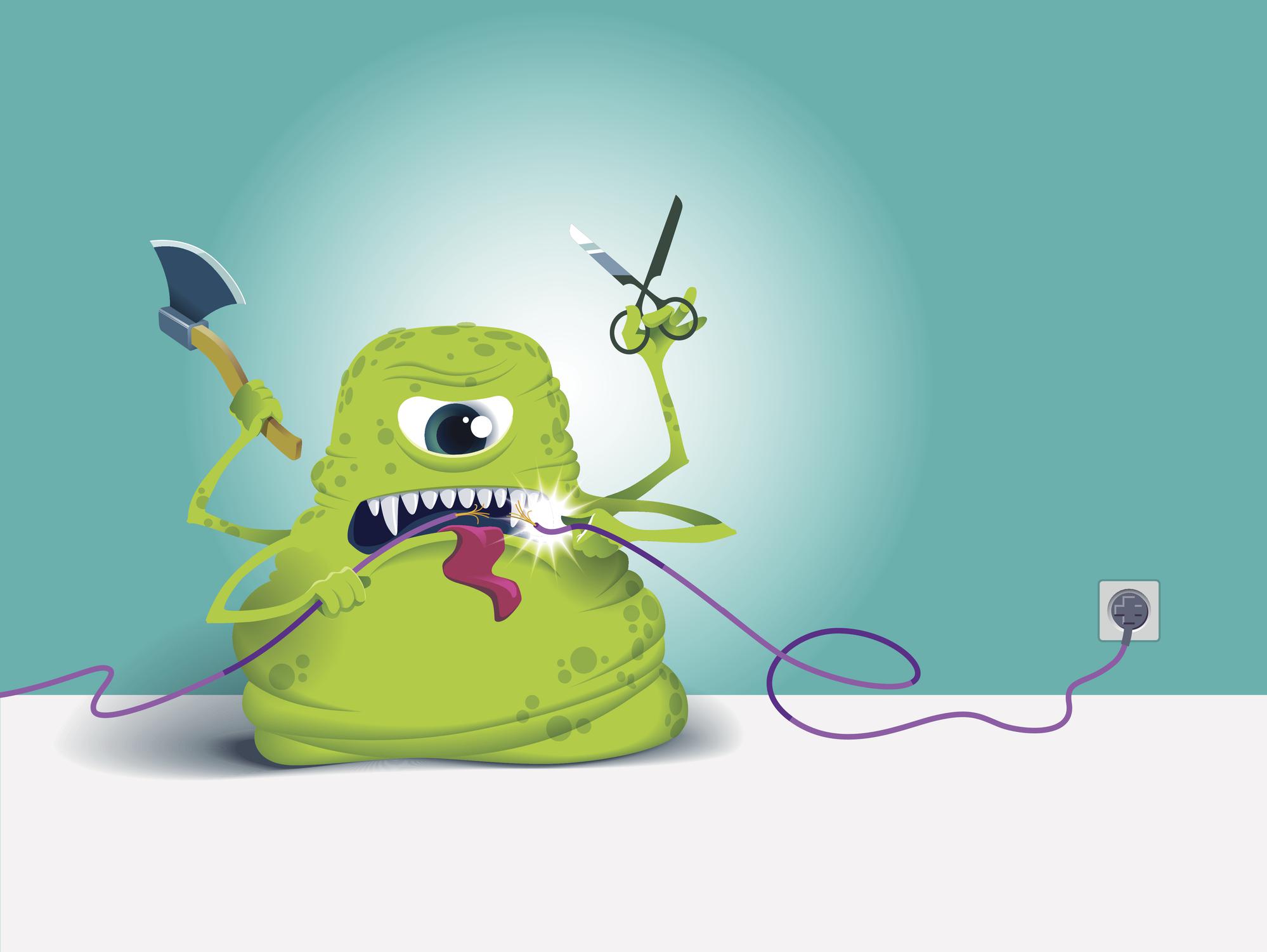 Bugs in Your Electrical Outlet: Why It Happens and What to Do About It