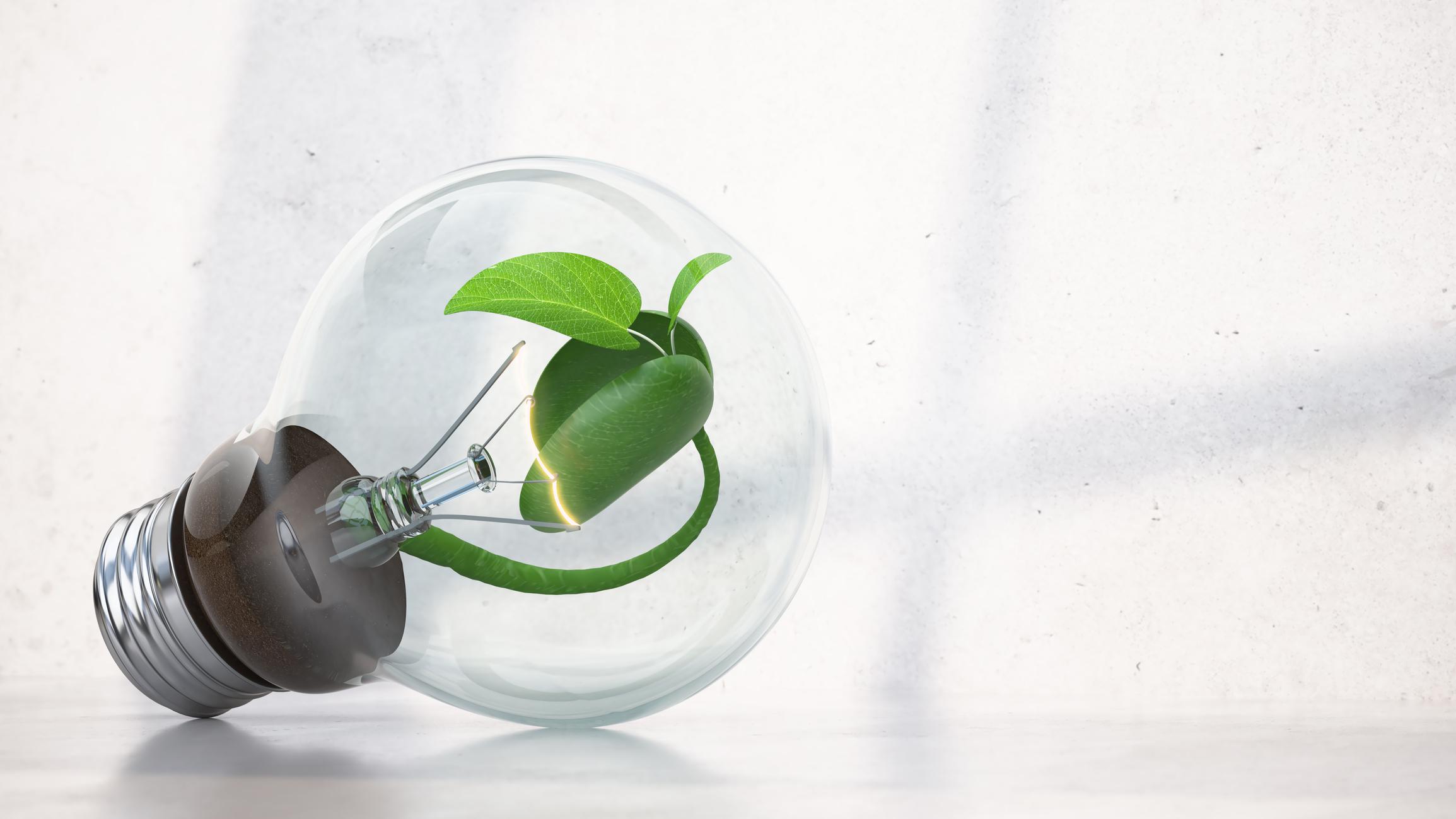 Green vs. Renewable Energy: What's the Difference and Why It Matters