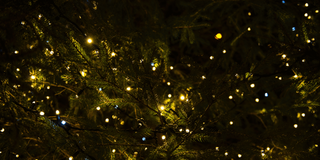 LED vs. Non-LED Christmas Lights