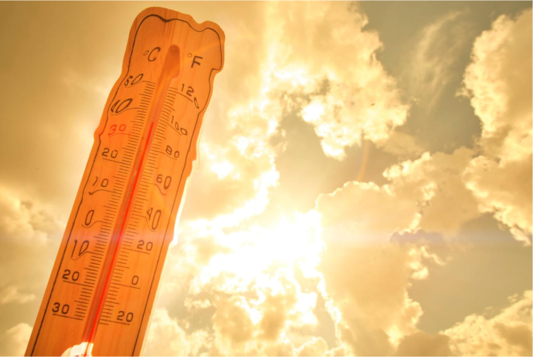 Understanding Heat Wave Power Grid Issues